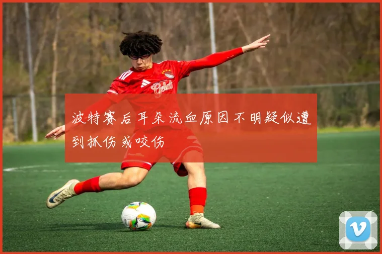 波特赛后耳朵流血原因不明疑似遭到抓伤或咬伤