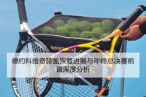 德约科维奇膝盖恢复进展与年终总决赛前景深度分析 - eonsports